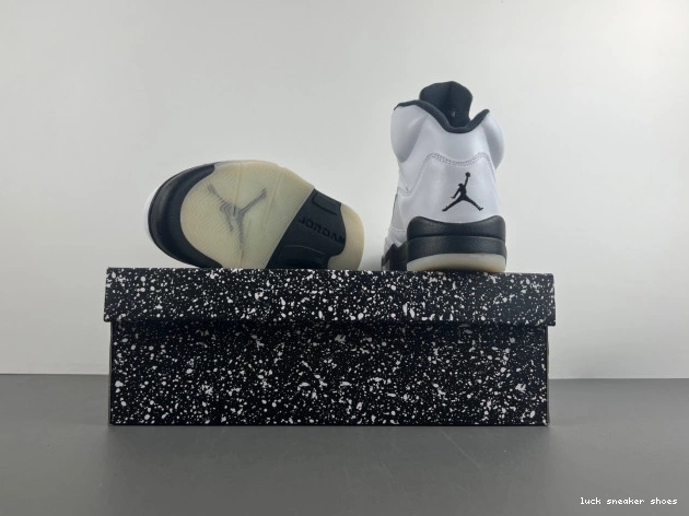 Reps LUCY 5 AIR DD0587-110 'WHITE JORDAN RETRO BLACK' 0807